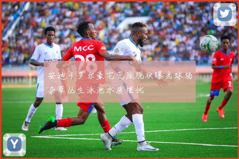 安迪卡罗尔豪宅荒废现状曝光球场杂草丛生泳池水质堪忧